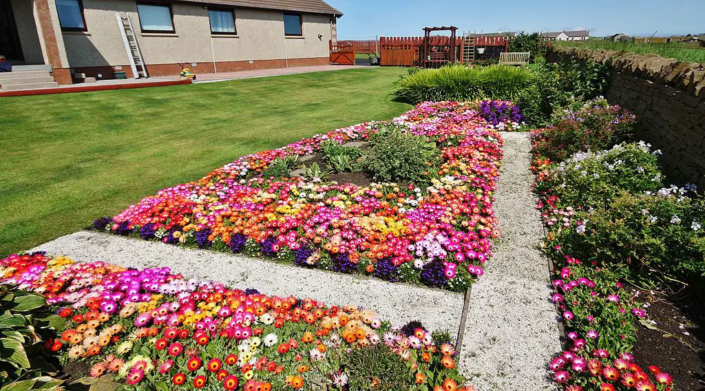 front garden flower bed