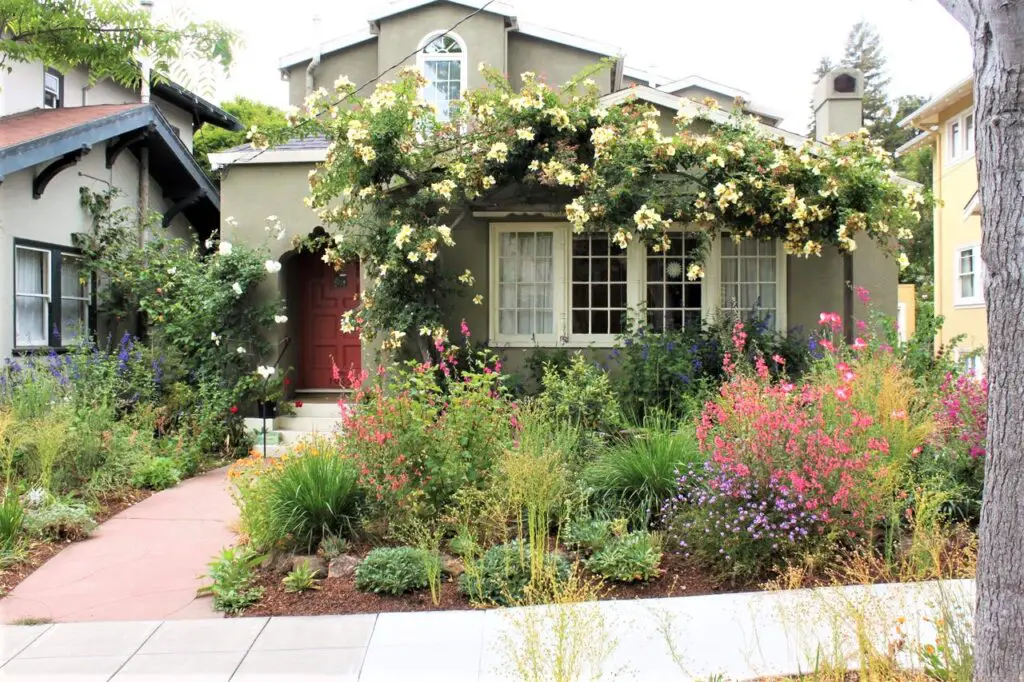 front house landscaping