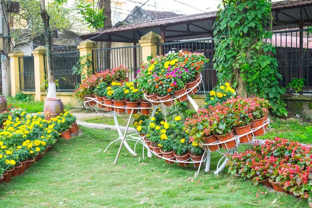 garden flower landscaping