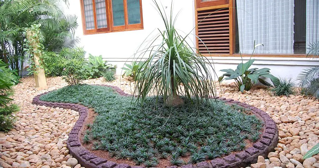 gravel garden ideas