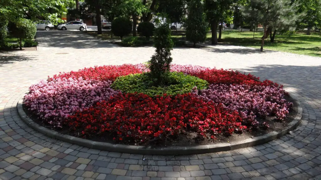 red flower bed